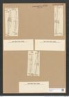 Stauroneis baileyi Ehrenb. (de-Toni-Nr.: Genus 6, Species 880) Zeichnungen Sammlung Grunow Nr. 1740 (NHMW-BOT-W0368623)